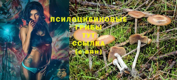 МДПВ Михайловка