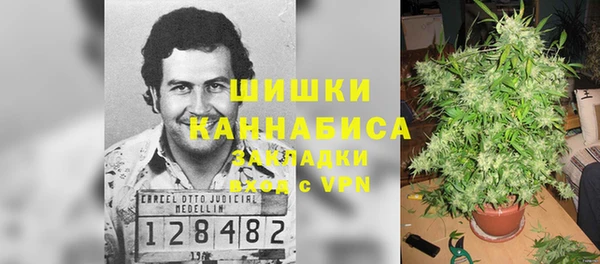 MDMA Медвежьегорск